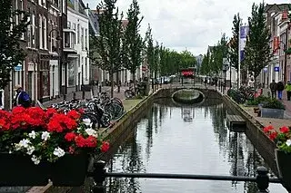 Gouda