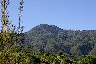 Oaxaca