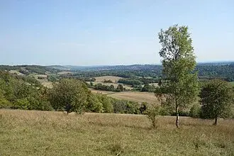Surrey