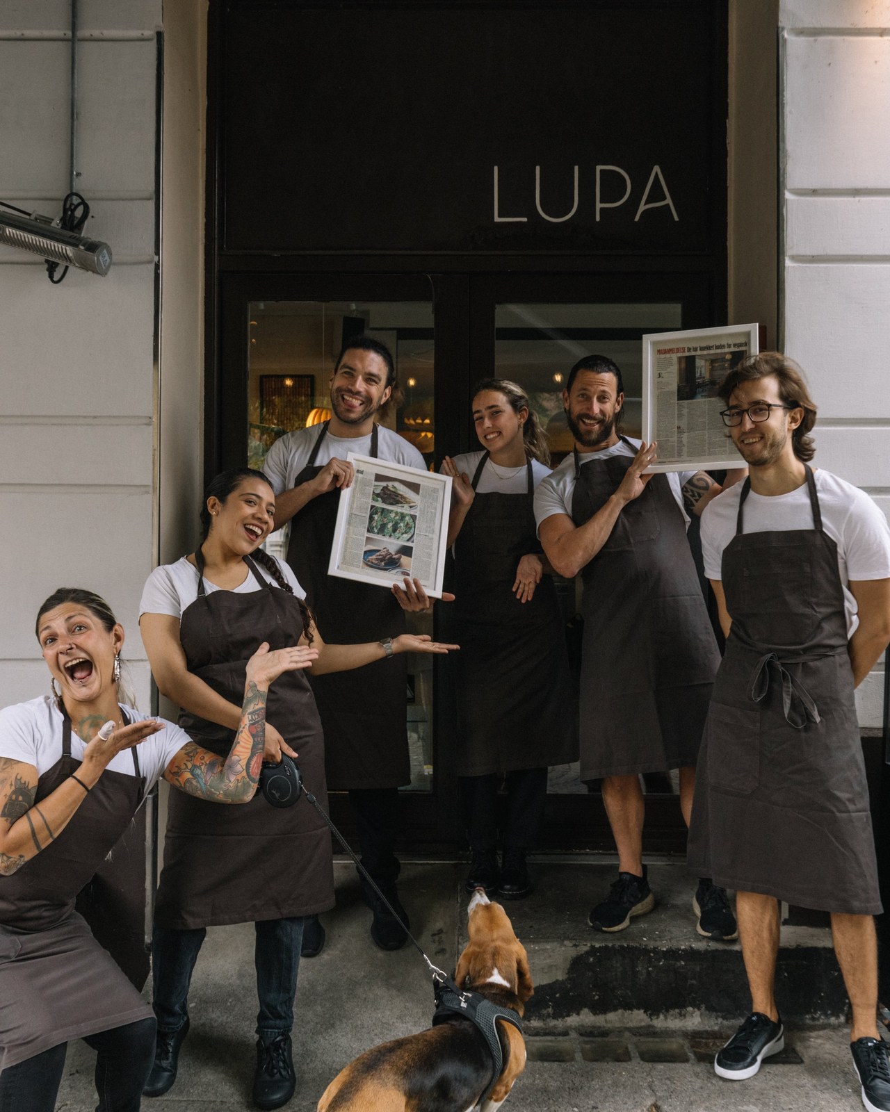 Lupa