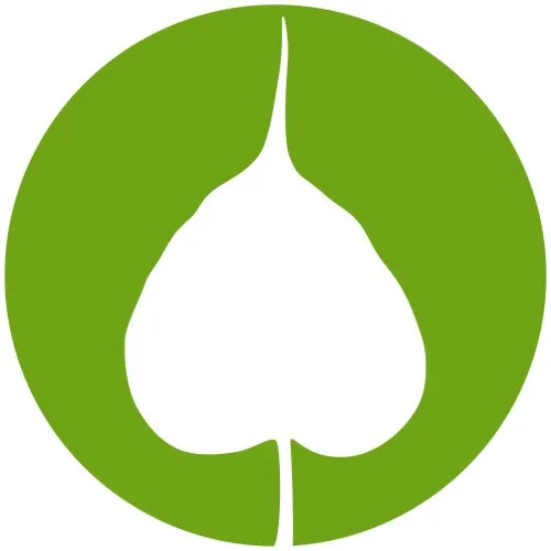 Cafe Green