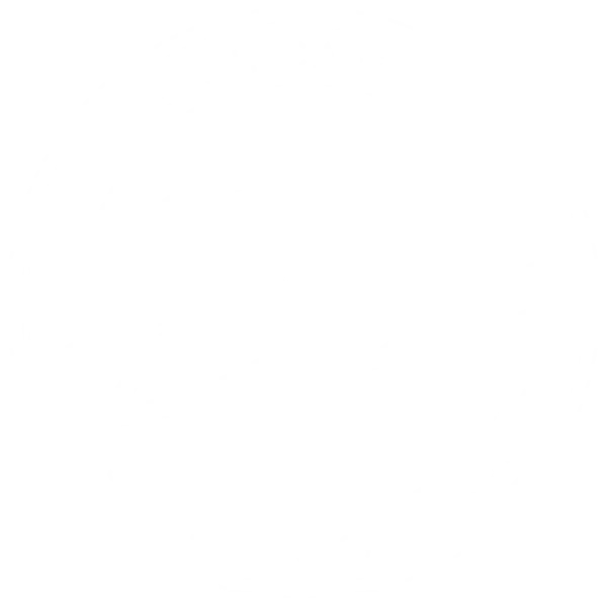Bo's Beach Cafe