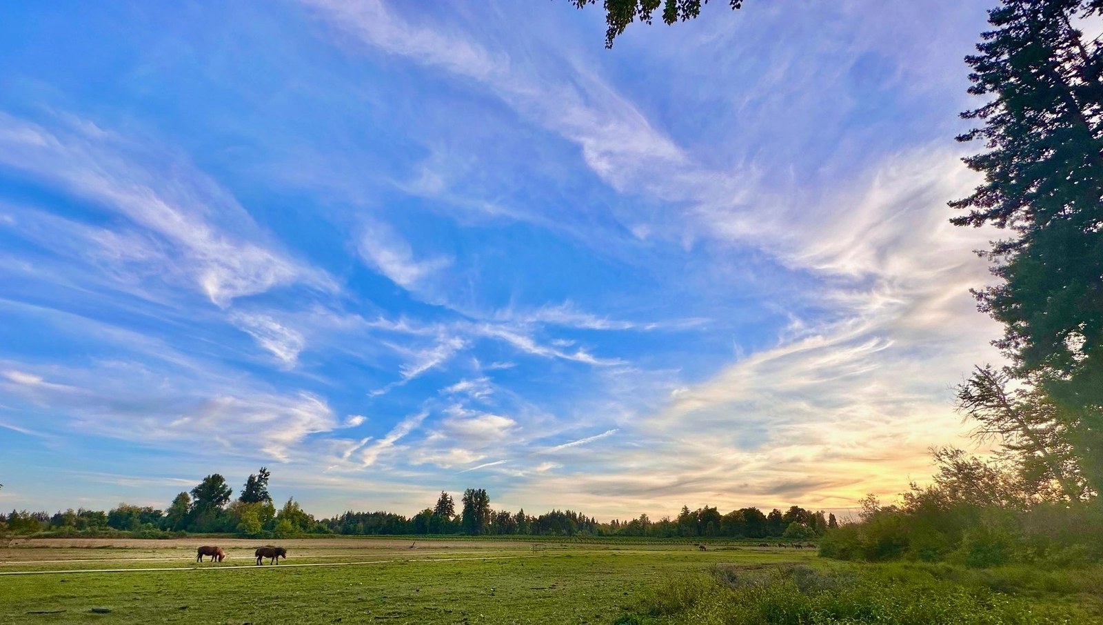 Oregon Farm Sanctuary