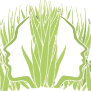 Natural Sisters Cafe