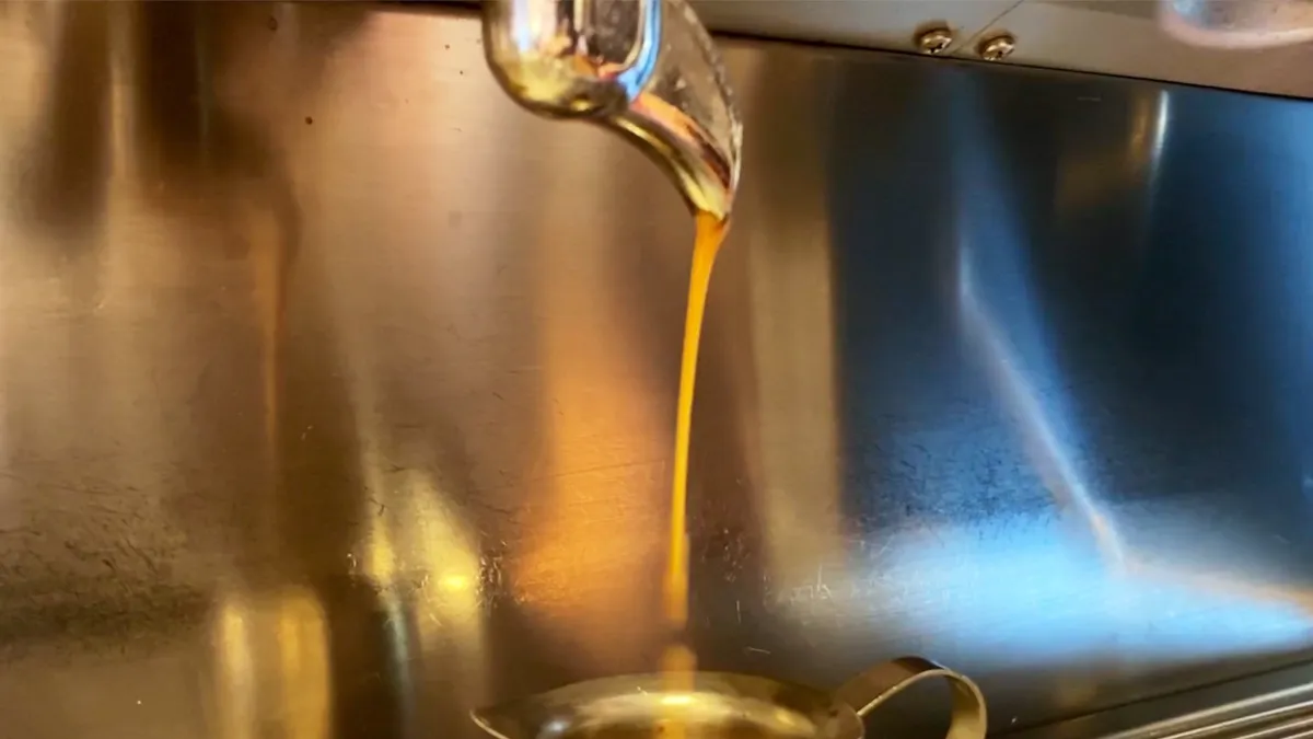 Caffeinated Cow