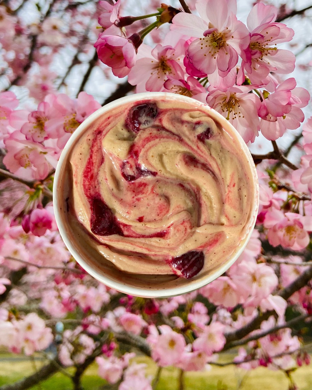 Crème de la Crop