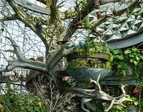 The Green Planet cafe