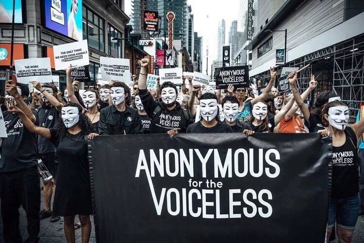 Anonymous for the Voiceless - Birmingham