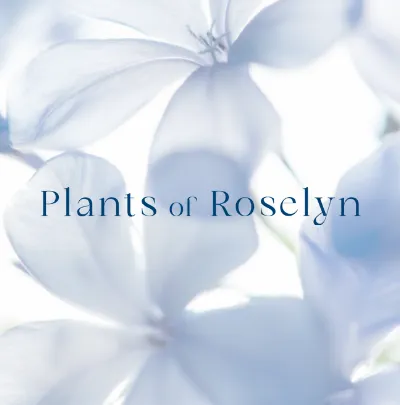 Plants of Roselyn