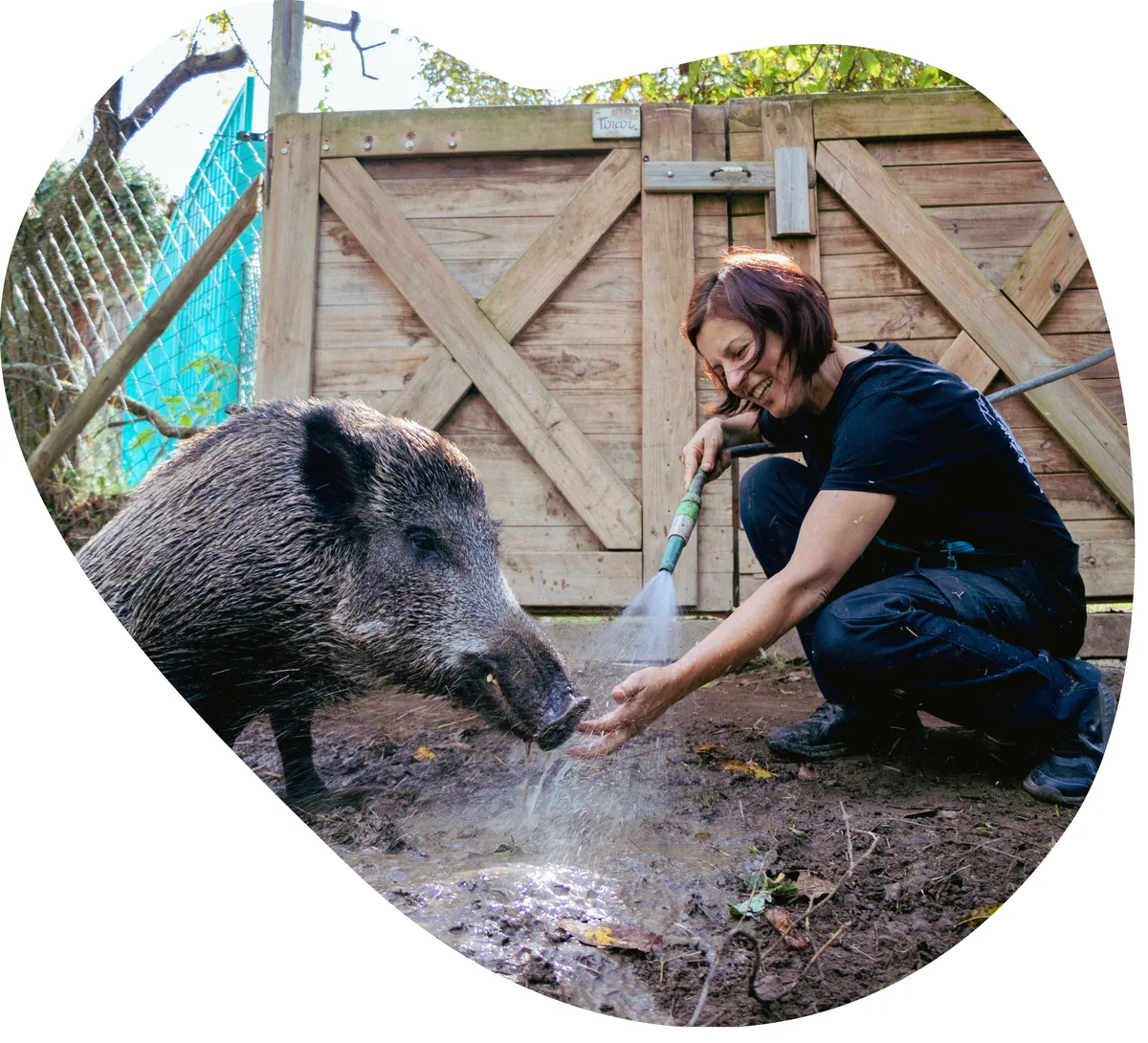 Fundacion El Hogar Animal Sanctuary