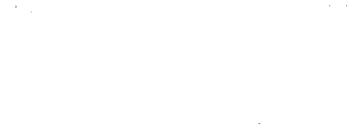 Coven Vegan Market