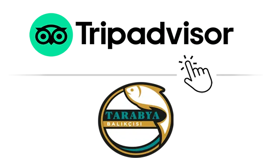 Tarabya Balik Cayyolu