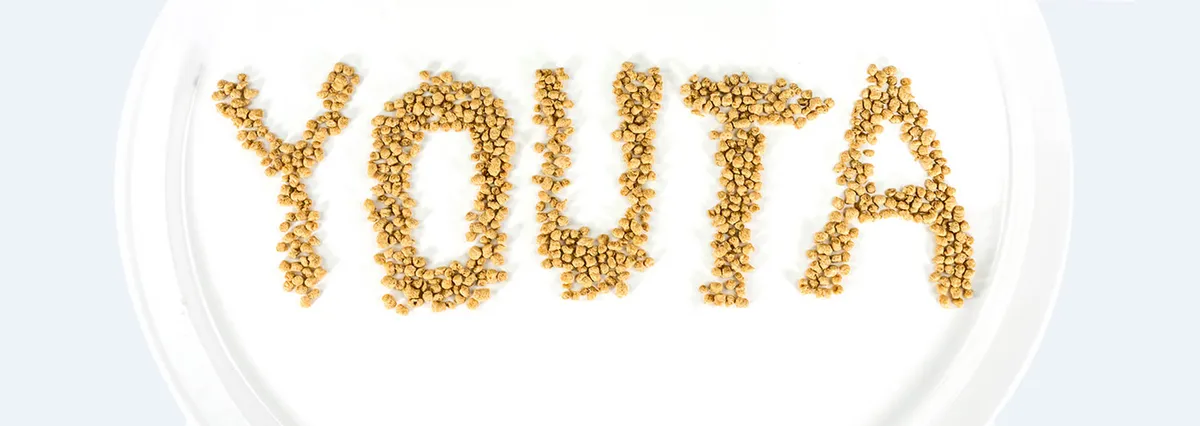 Yota vegetarian food