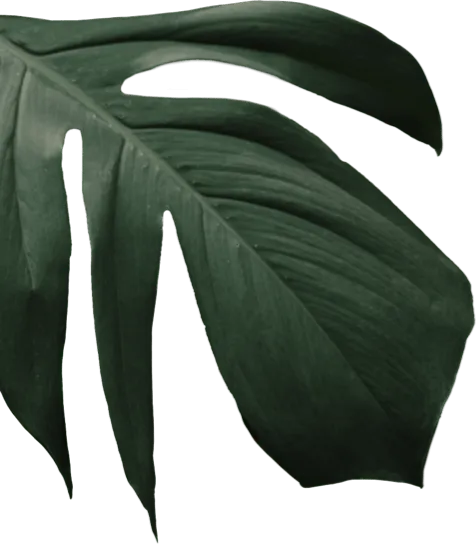 Granola
