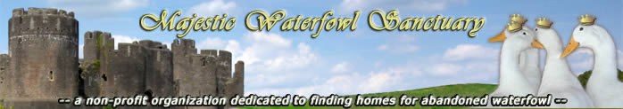 Majestic Waterfowl Sanctuary