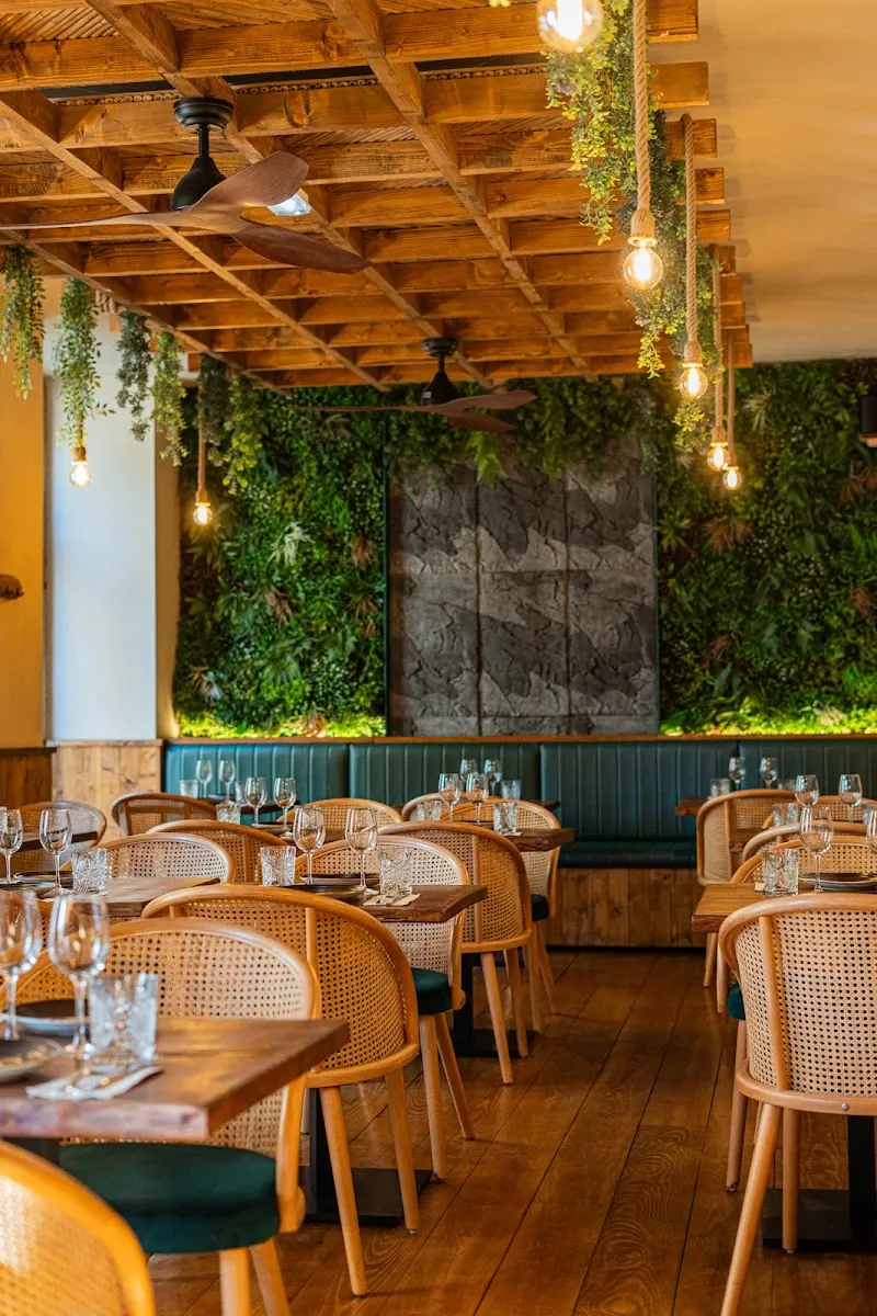 Kong - Food Made With Compassion