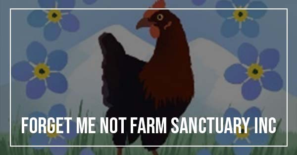 Forget Me Not Farm Sanctuary