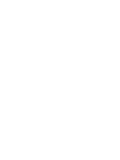 Il Pizzaiolo