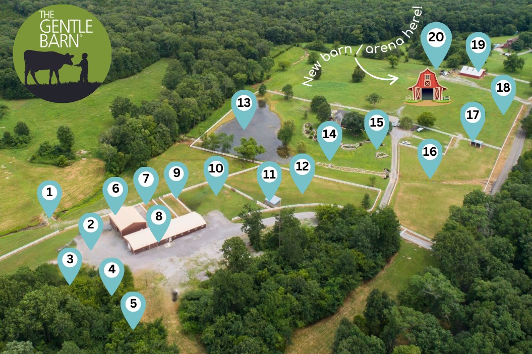 The Gentle Barn