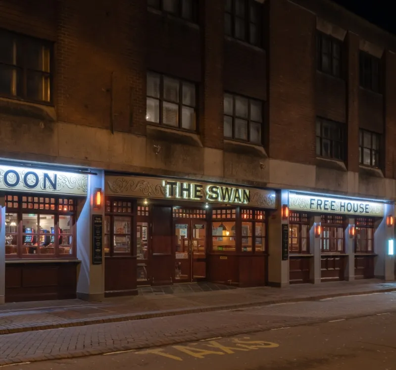The Swan