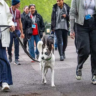 Battersea Dogs & Cats Home