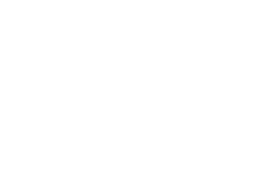 The Ship
