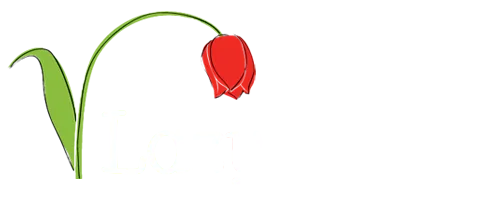 Lazy Tulip Cafe