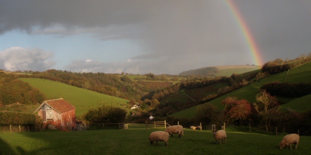 Fleecehaven Sheep Sanctuary