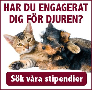 Stora Skuggans Djurhem