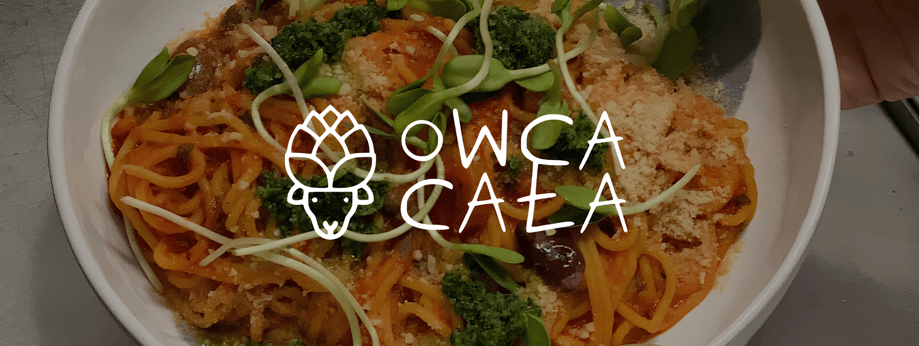 Owca Cała