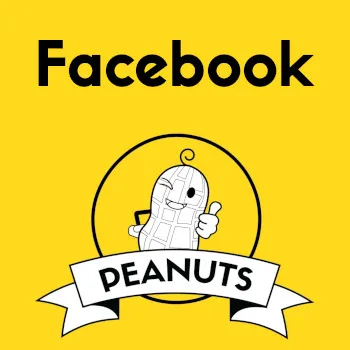Peanuts - Vegan Vietnamese Food