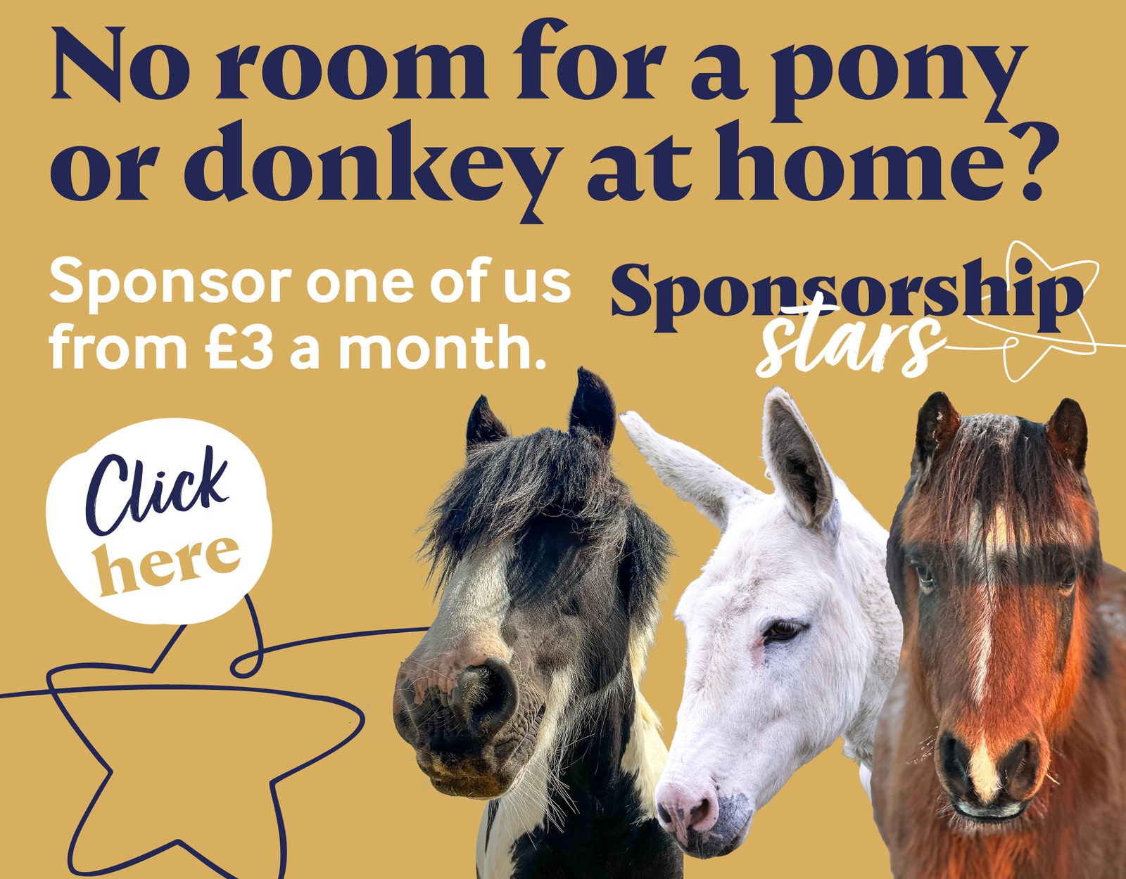 Bransby Horses