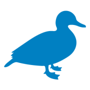 Blaue Ente