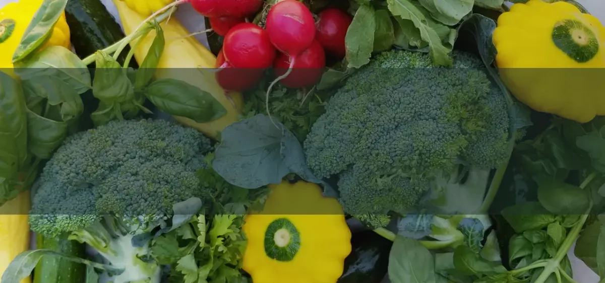 Flatbush Food Coop