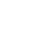 Maui Brewing Company