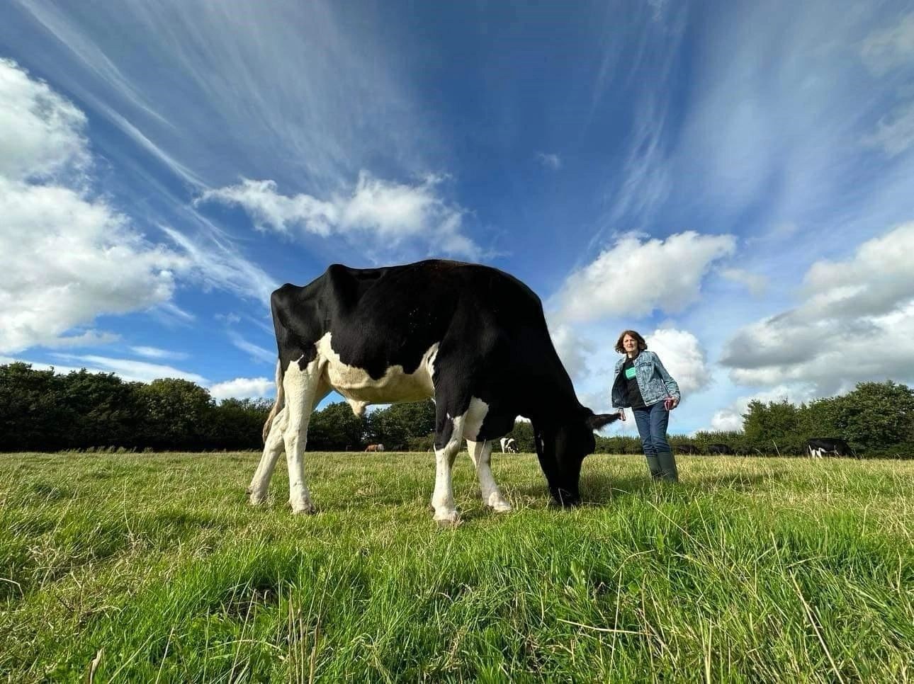Hugletts Wood Farm Animal Sanctuary