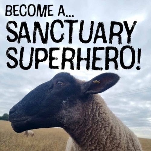 Farm Animal Rescue Sanctuary (FARS)