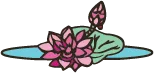 Lotus of Siam