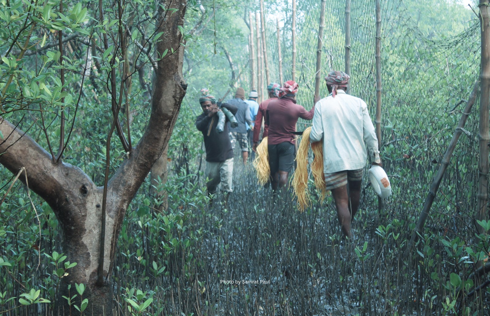 Wildlife Trust of India