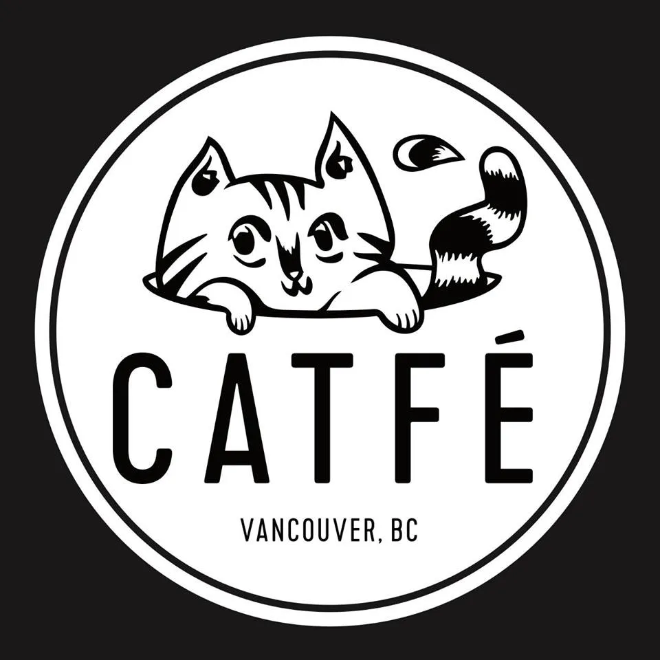 Catfé