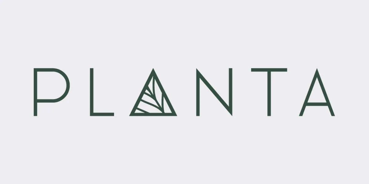 Planta Queen