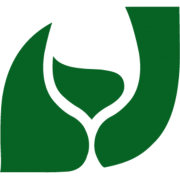 ცოცხალი ღვინო