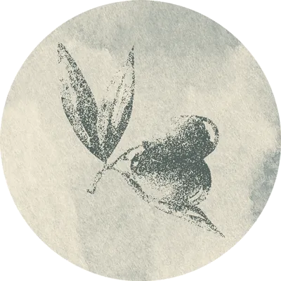Bio-Pizzeria & Ristorante "VERO #2"