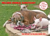 Hillside Animal Sanctuary