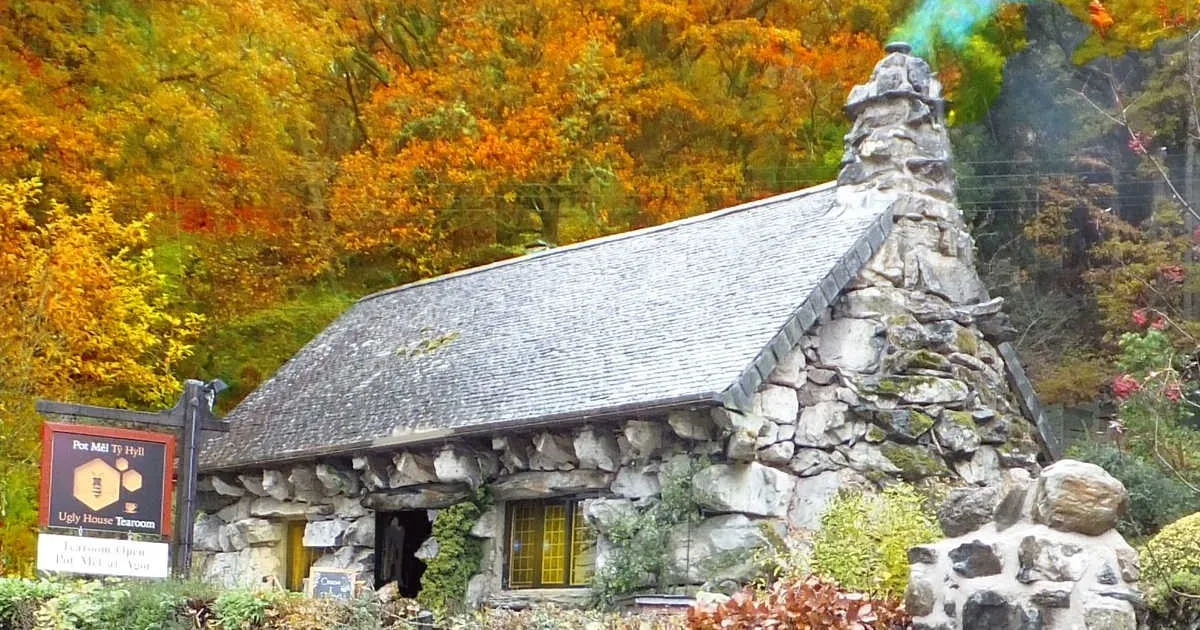 The Ugly House