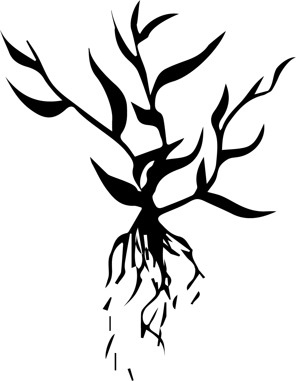 Rüt