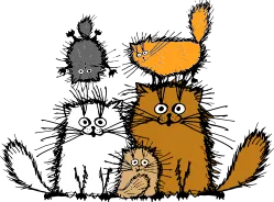 Katzencafé Miezhaus