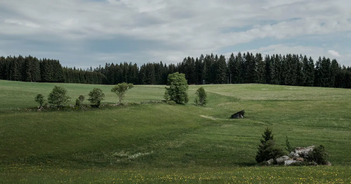 Honeder Naturbackstube