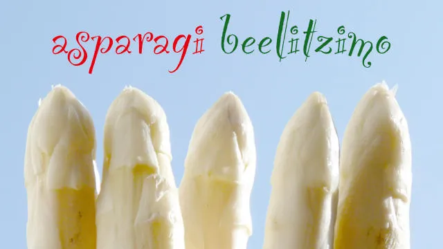 Nuova Italia