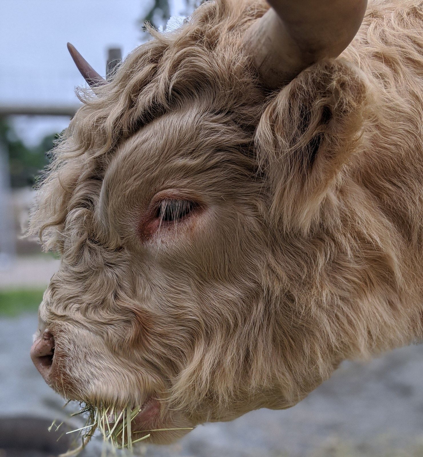 Unity Farm Sanctuary